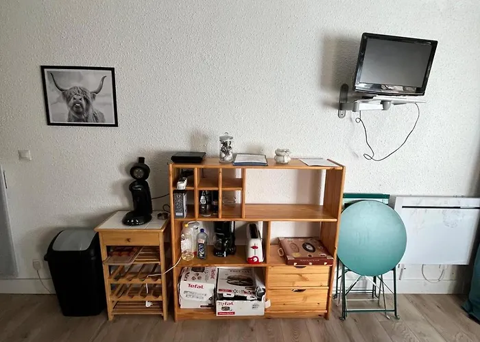 Appartement Myrtilles Ii - 26 Aragnouet